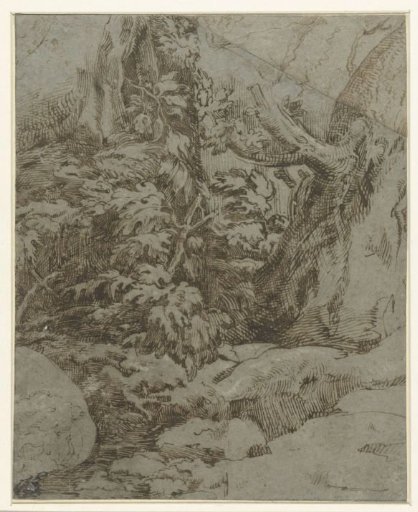 Study of a Landscape