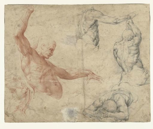 Nude studies of a man