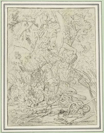Squirrels, snakes and amphibians in the undergrowth