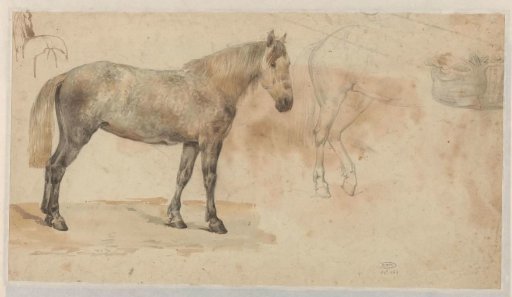 Studies of a horse