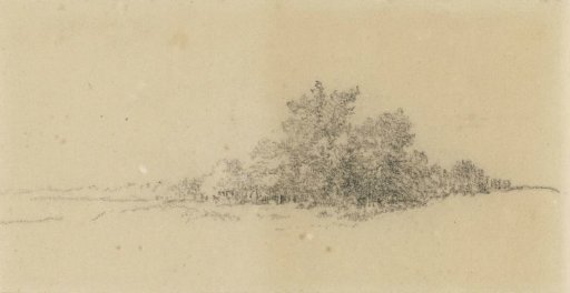 Edge of the forest