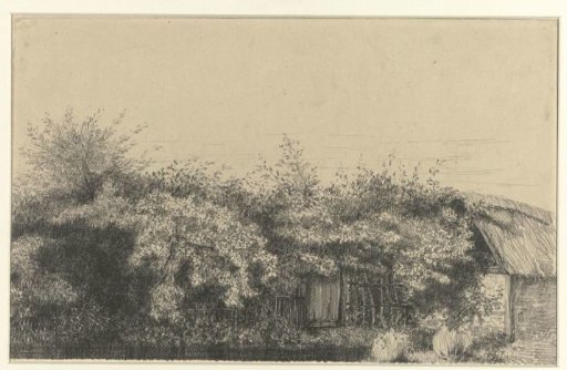 Overgrown Farmhouse, Normandy