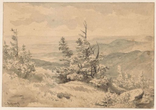 Mountain landscape with pines in the foreground