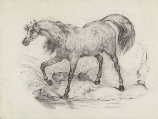 Standing Horse, to the Left