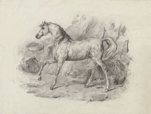 Standing Horse, to the Left
