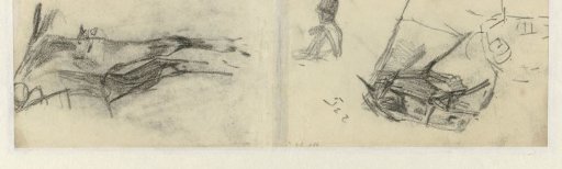 Detail studies of a horse