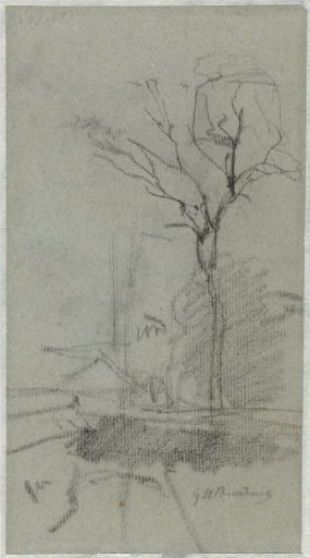 Landscape with a tall tree