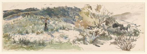 Dune landscape