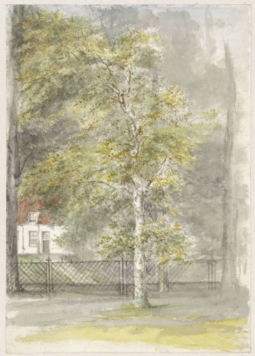 Tree in front of the gate of a country house