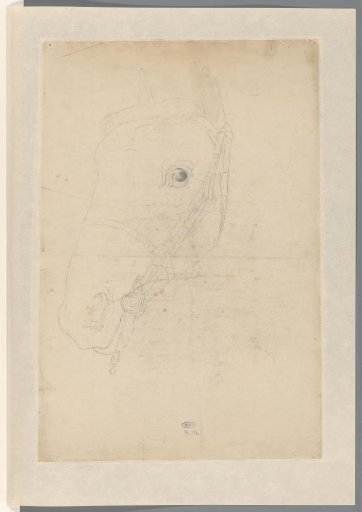 Head of a horse