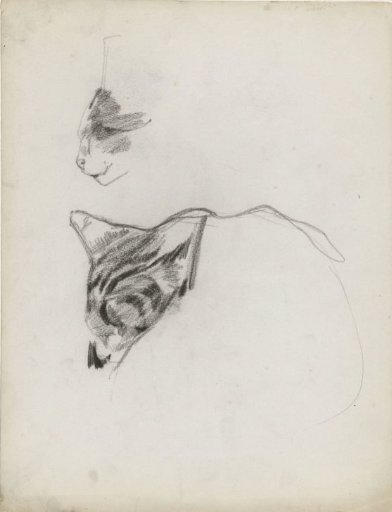 Two studies of a cat