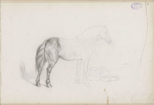Standing horse and a saddle