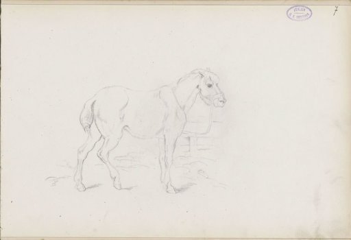 Standing horse with bridle