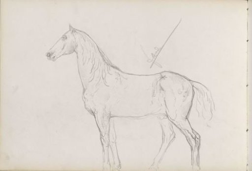 Standing horse