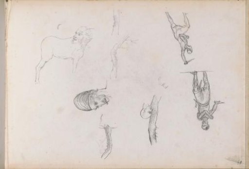Horse and figure studies
