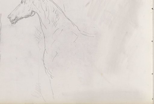 Two horse studies