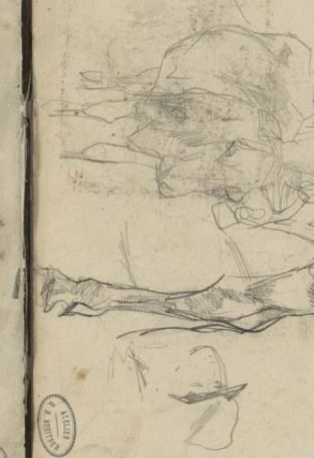 Study sheet with cows and a head