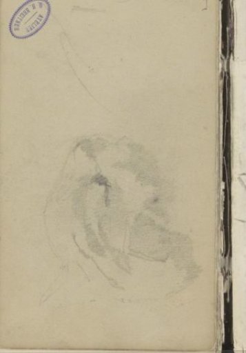 Head of an animal