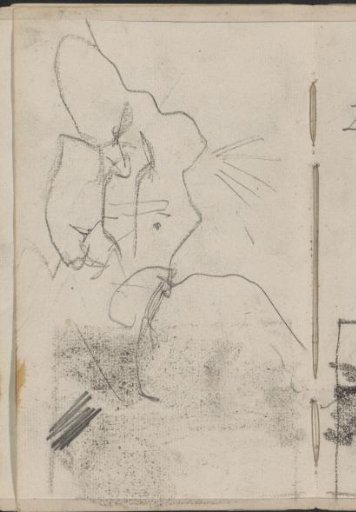 Study