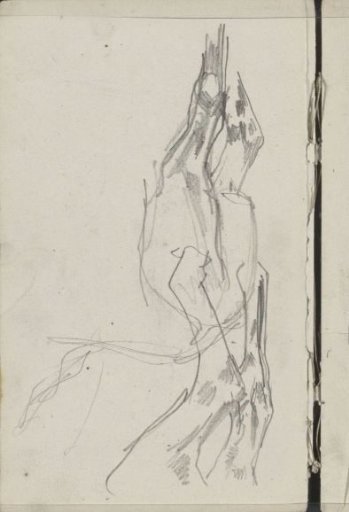 Hindquarters