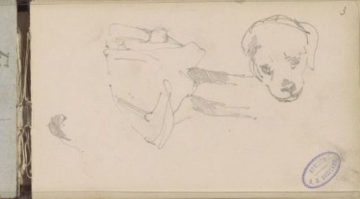 Figure studies and a dog's head