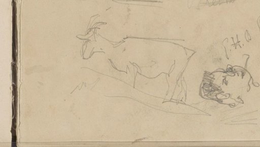 Goat and a Head