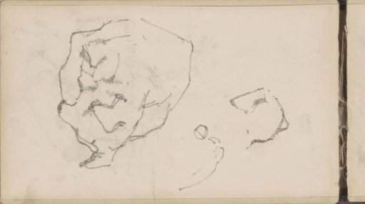 Studies of a dog