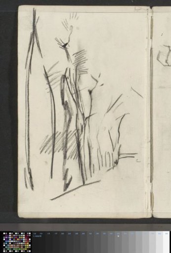 Study, Possibly of Trees Along a Road