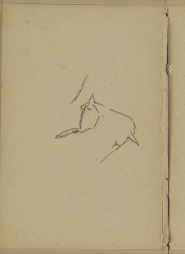 Horse's head