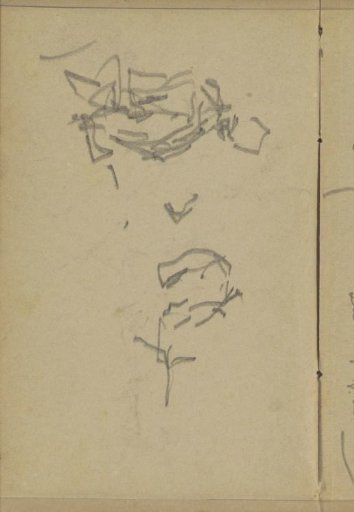 Figure Studies