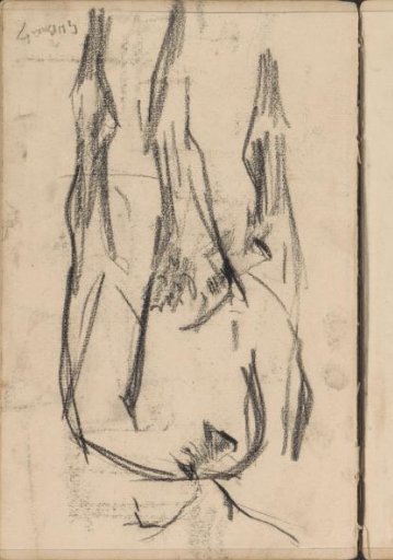 Horse, Seen from Behind