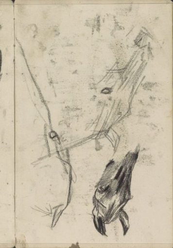 Horse Heads