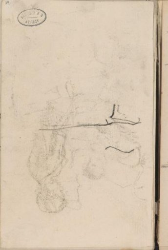 Study