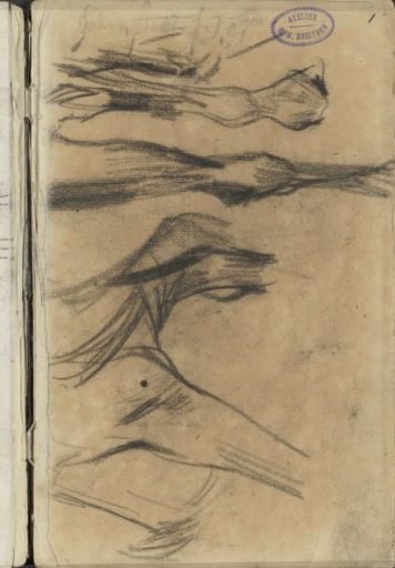 Horse legs