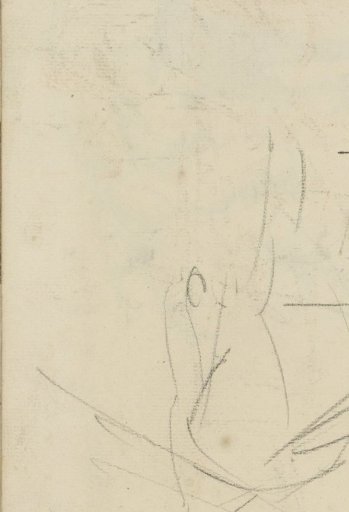 Horse and a Perspective Study