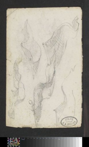 Study Sheet