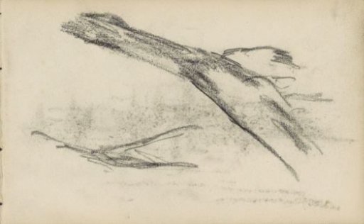 Horse leg