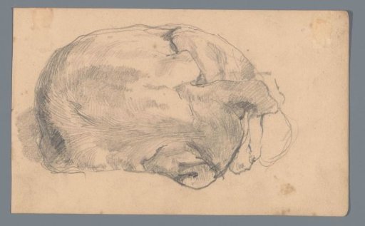 Reclining dog or cat