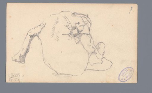 Sitting dog, seen from the back