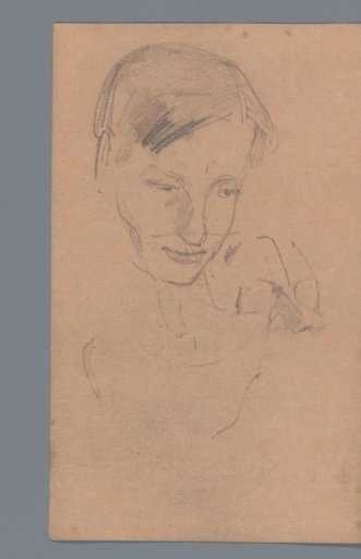 Head of a young man