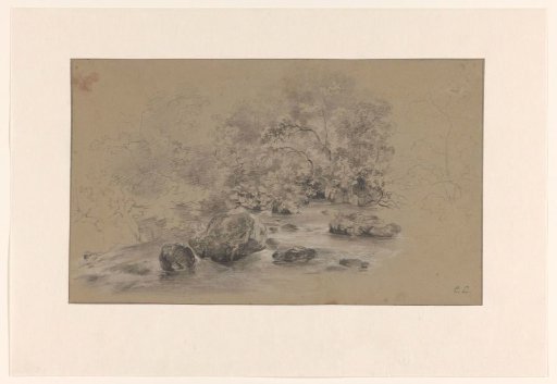 Mountain stream with shrubbery