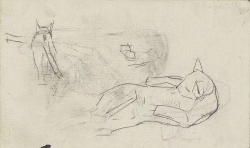 Studies of a Cat