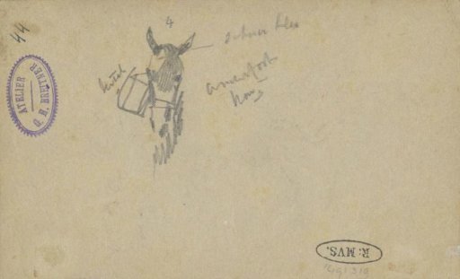 Horse's head