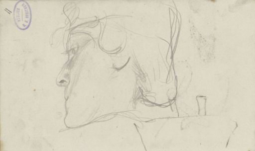 Woman's Head
