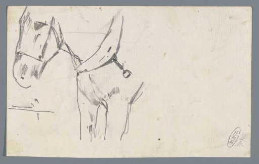 Horse with harness