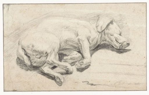 Lying dog, sleeping