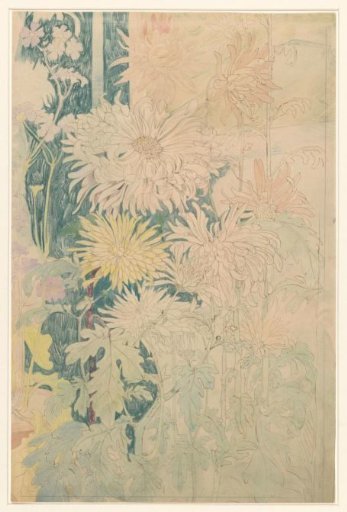 Chrysanthemums and some other autumn flowers