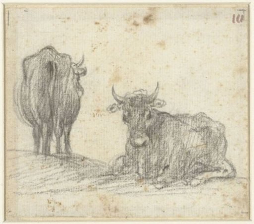 Two cows from the Campagna