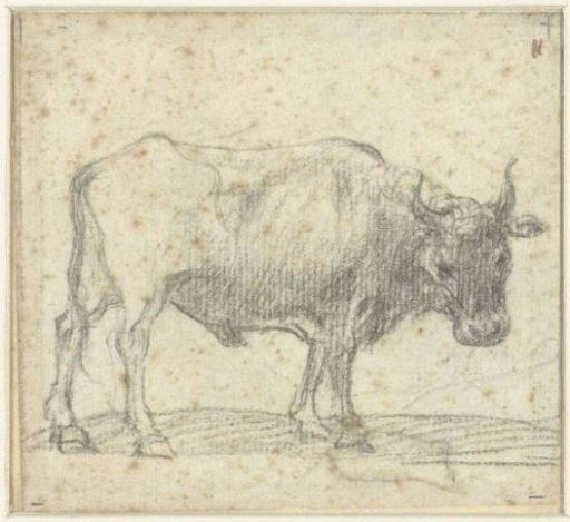 Ox