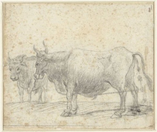 Two cows